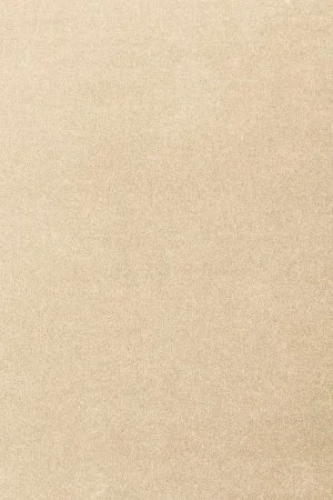 Ковровое покрытие AW Oinone 34 - (4м) в Кирове