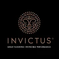ПВХ плитка Invictus купить в Кирове по выгодной цене ПВХ плитка Invictus в Кирове