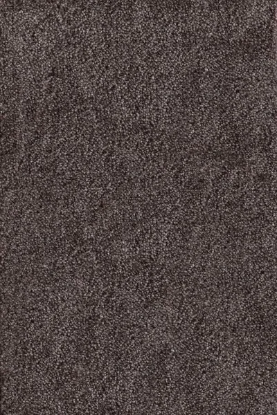 Ковровое покрытие AW Messalina 44 - (4м) в Кирове