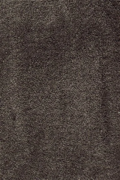 Ковровое покрытие AW Fedone 44 - (5м) в Кирове