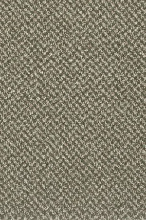 Ковровое покрытие AW Stainaway Tweed 24 - (4м) в Кирове