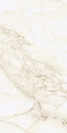 Керамогранит Coliseum Микеланджело Ворм 60х120 (Натуральный и Реттифицированный) в Кирове