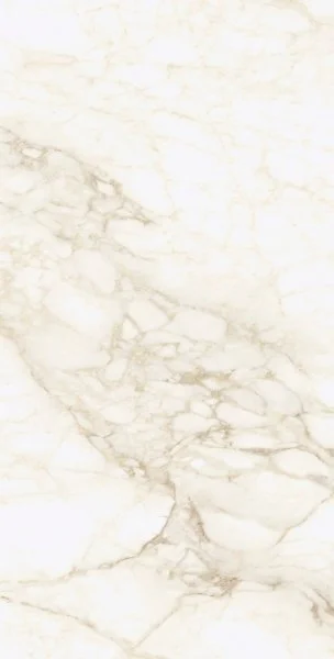 Керамогранит Coliseum Микеланджело Ворм 60х120 (Натуральный и Реттифицированный) в Кирове