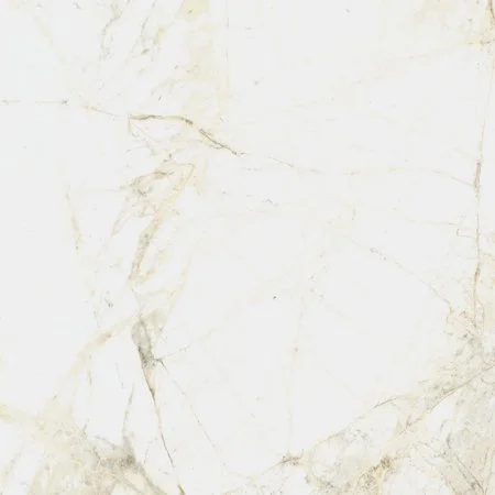 Керамогранит Coliseum Канова Уайт 60х60 (Натуральный и Реттифицированный) в Кирове