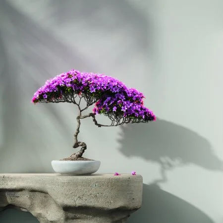 Обои Loymina Lotus LOT1 112 в Кирове