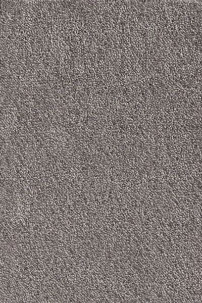 Ковровое покрытие AW Messalina 49 - (5м) в Кирове