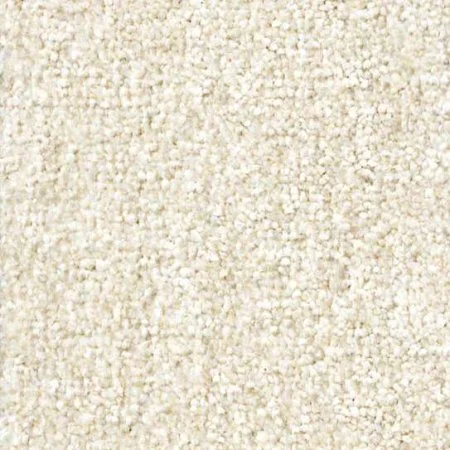 Ковровое покрытие Zartex Парадиз 565 Пломбир - 3 м в Кирове