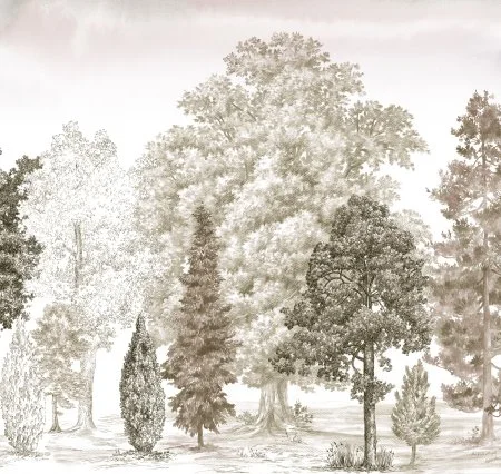 Обои Loymina Пейзаж vol. 2 ART14 012 в Кирове