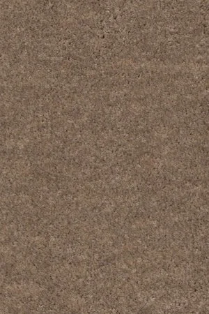 Ковровое покрытие AW Euphoria 36 - (5м) в Кирове