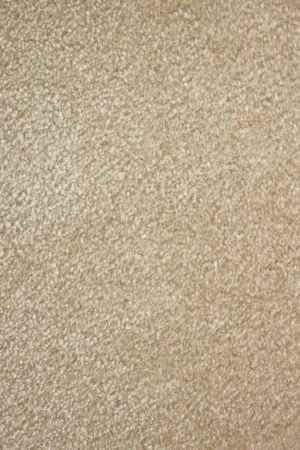 Ковровое покрытие AW Euphoria 33 - (5м) в Кирове