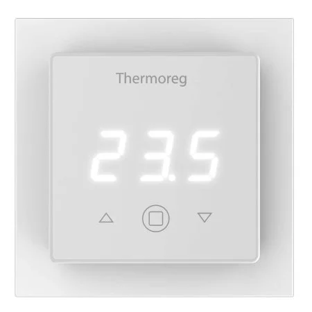Терморегулятор Thermoreg TI-300 в Кирове