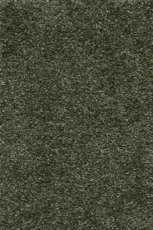 Ковровое покрытие AW Certosa 24 - (5м) в Кирове