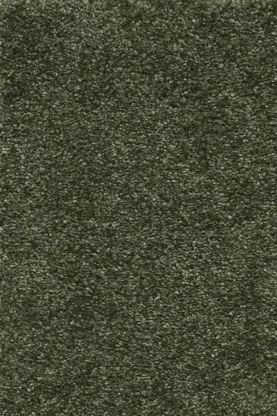 Ковровое покрытие AW Certosa 24 - (4м) в Кирове