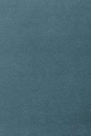 Ковровое покрытие AW Oinone 74 - (5м) в Кирове