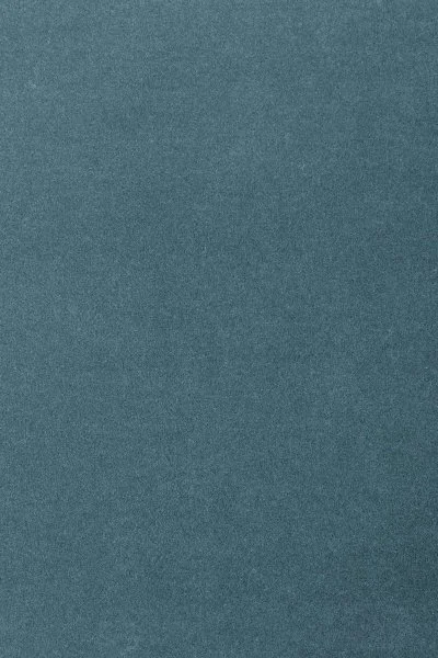 Ковровое покрытие AW Oinone 74 - (5м) в Кирове