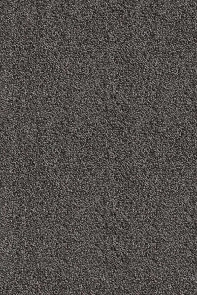 Ковровое покрытие AW Messalina 99 - (5м) в Кирове