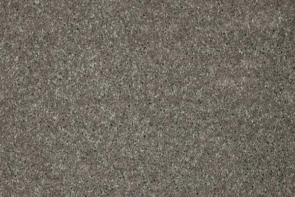 Ковровое покрытие AW Gala 94 - (5м) в Кирове