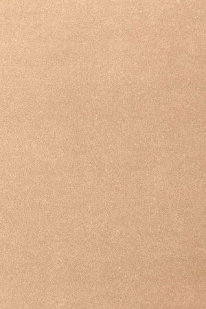 Ковровое покрытие AW Oinone 08 - (5м) в Кирове