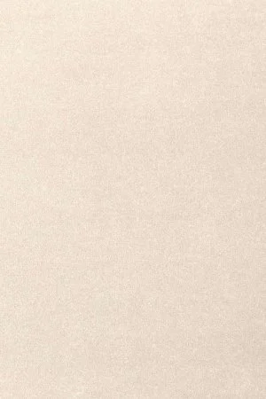 Ковровое покрытие AW Oinone 03 - (4м) в Кирове