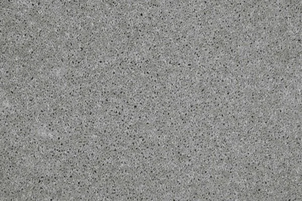 Ковровое покрытие AW Gala 90 - (4м) в Кирове