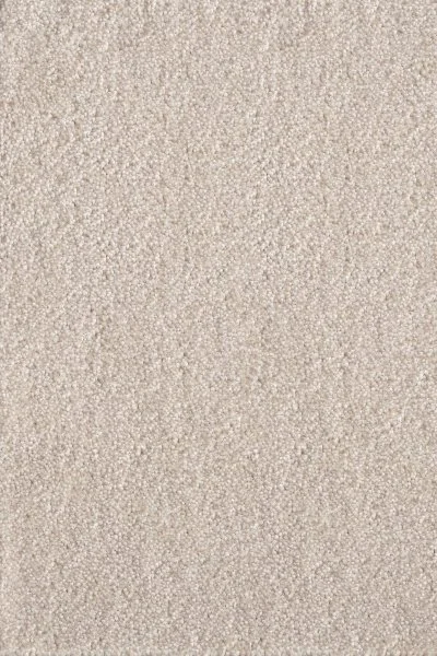 Ковровое покрытие AW Messalina 34 - (5м) в Кирове