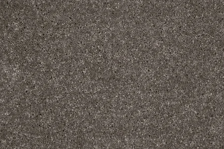 Ковровое покрытие AW Gala 49 - (4м) в Кирове