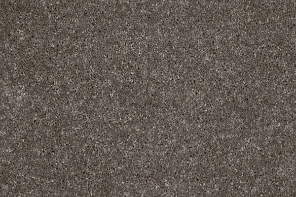 Ковровое покрытие AW Gala 49 - (4м) в Кирове