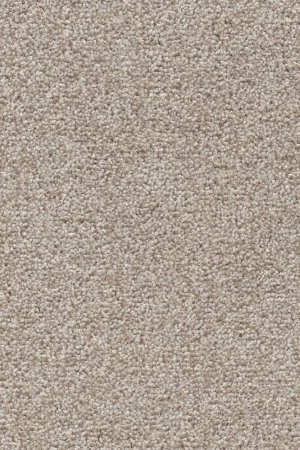 Ковровое покрытие AW Stainguard Harvest 04 - (4м) в Кирове