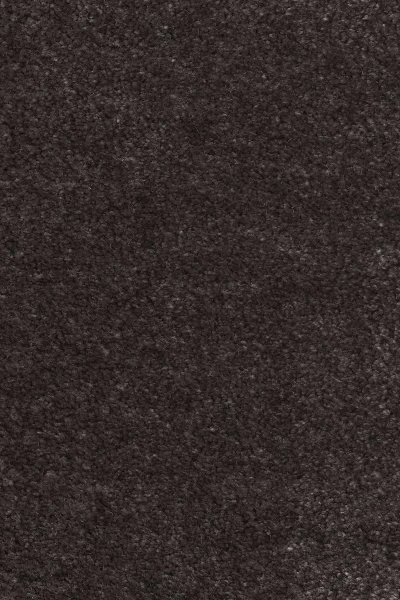 Ковровое покрытие AW Euphoria 43 - (4м) в Кирове