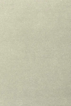 Ковровое покрытие AW Oinone 02 - (4м) в Кирове