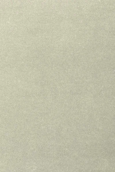 Ковровое покрытие AW Oinone 02 - (4м) в Кирове