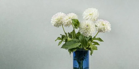 Обои Loymina Shade vol.2 SDR5, 001 в Кирове