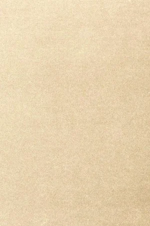 Ковровое покрытие AW Oinone 33 - (5м) в Кирове