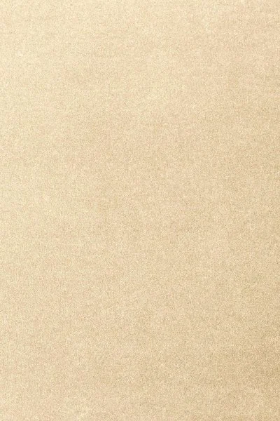 Ковровое покрытие AW Oinone 33 - (4м) в Кирове