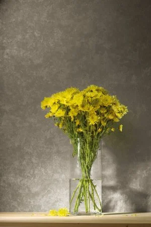 Обои Loymina Golden Library TDG 7, 008 в Кирове