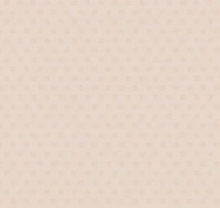 Обои Loymina Golden Library Q11, 002/1 в Кирове