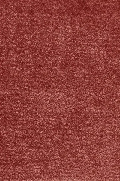 Ковровое покрытие AW Omphale 10 - (5м) в Кирове