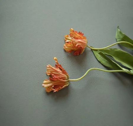 Обои Loymina Russian Classic Ru10, 006 в Кирове