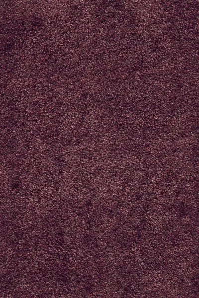 Ковровое покрытие AW Fedone 19 - (5м) в Кирове