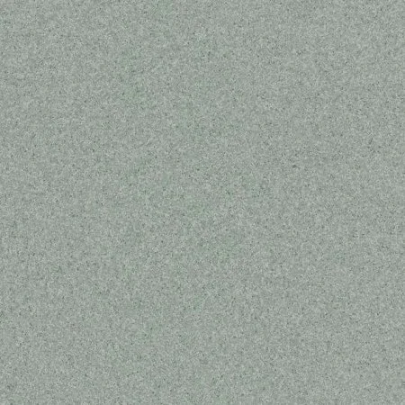 Линолеум Tarkett Primo Plus CPRPI-311 2 м в Кирове