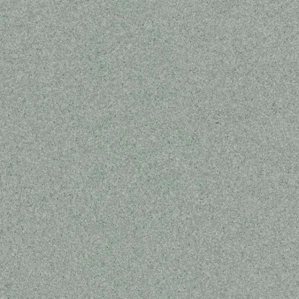 Линолеум Tarkett Primo Plus CPRPI-311 2 м в Кирове