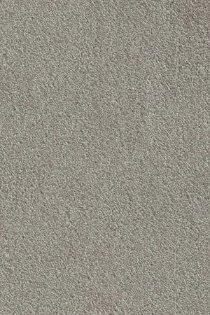 Ковровое покрытие AW Messalina 9 - (5м) в Кирове