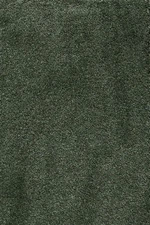 Ковровое покрытие AW Fedone 24 - (5м) в Кирове