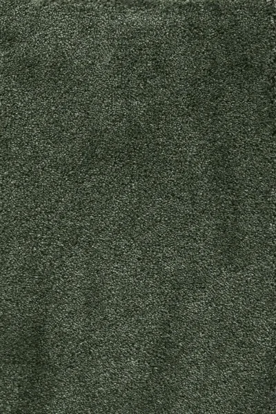 Ковровое покрытие AW Fedone 24 - (5м) в Кирове