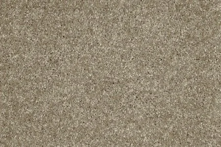 Ковровое покрытие AW Gala 33 - (5м) в Кирове