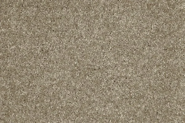 Ковровое покрытие AW Gala 33 - (4м) в Кирове