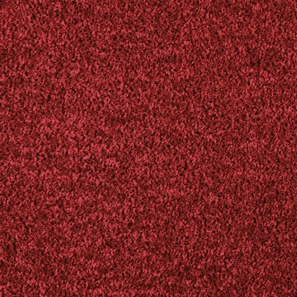 Ковровое покрытие AW Kiama 11 - (4м) в Кирове