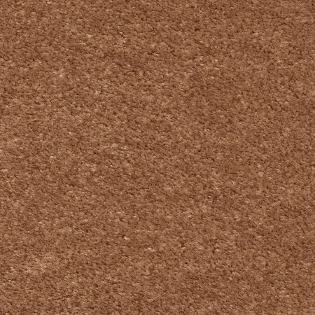 Ковровое покрытие AW Euphoria 84 - (5м) в Кирове