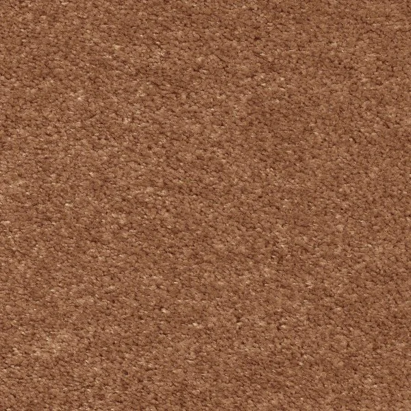 Ковровое покрытие AW Euphoria 84 - (5м) в Кирове