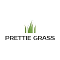 Искусственная трава Prettie Grass в Кирове